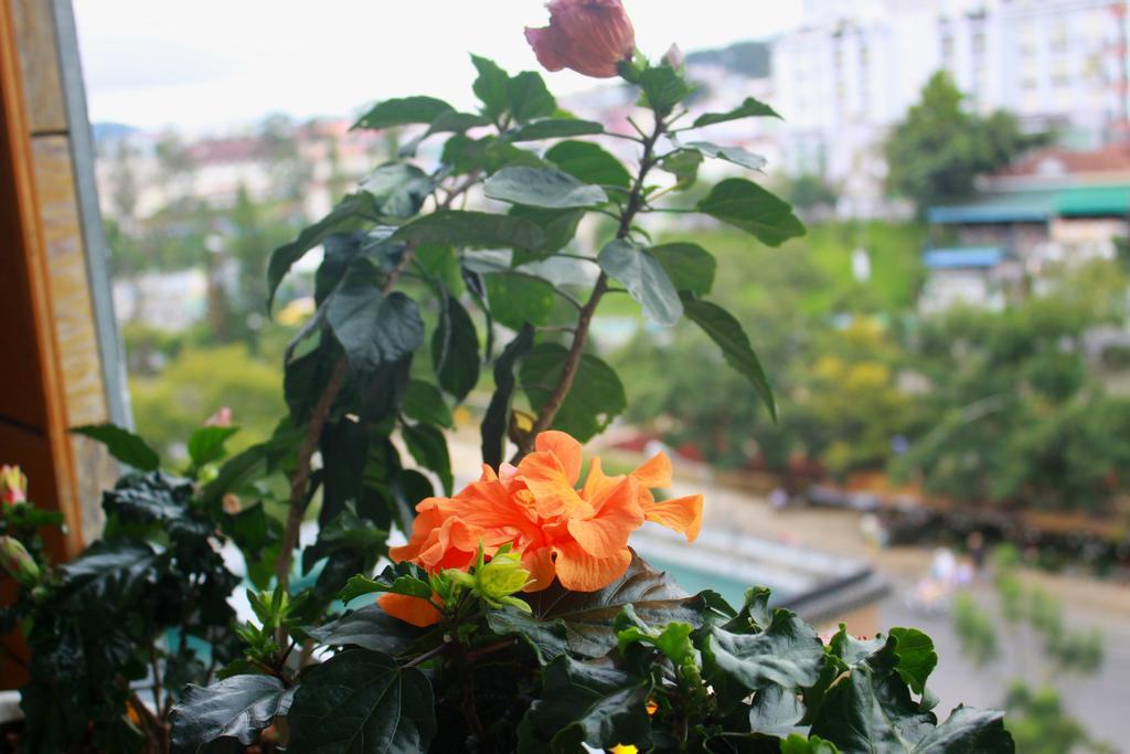 Gold Night Hotel Da Lat Dış mekan fotoğraf